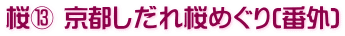 桜⑬ 京都しだれ桜めぐり(番外)