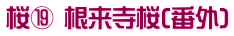 桜⑲ 根来寺桜(番外)