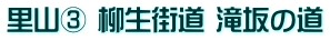 里山③ 柳生街道 滝坂の道
