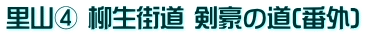 里山④ 柳生街道 剣豪の道(番外)