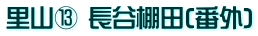 里山⑬ 長谷棚田(番外)