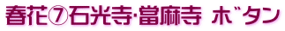 春花⑦石光寺･當麻寺 ﾎﾞﾀﾝ