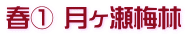 春① 月ヶ瀬梅林