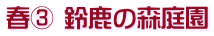 春③ 鈴鹿の森庭園