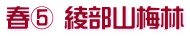 春⑤ 綾部山梅林