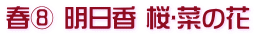 春⑧ 明日香 桜･菜の花