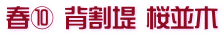 春⑩ 背割堤 桜並木
