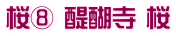 桜⑧ 醍醐寺 桜