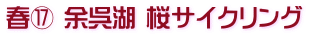 春⑰ 余呉湖 桜サイクリング