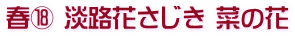 春⑱ 淡路花さじき 菜の花