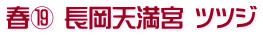 春⑲ 長岡天満宮 ツツジ