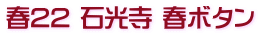 春22 石光寺 春ボタン
