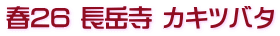 春26 長岳寺 カキツバタ
