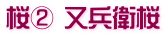 桜② 又兵衛桜
