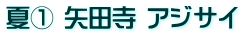 夏① 矢田寺 アジサイ