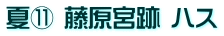 夏⑪ 藤原宮跡 ハス