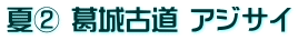 夏② 葛城古道 アジサイ