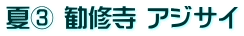 夏③ 勧修寺 アジサイ