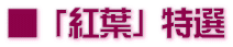 ■ 「紅葉」 特選
