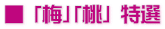 ■ 「梅」「桃」 特選