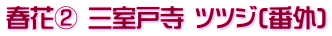 春花② 三室戸寺 ツツジ(番外)