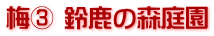 梅③ 鈴鹿の森庭園