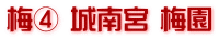 梅④ 城南宮 梅園
