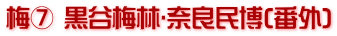 梅⑦ 黒谷梅林･奈良民博(番外)