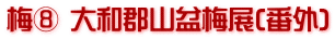梅⑧ 大和郡山盆梅展(番外)