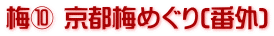 梅⑩ 京都梅めぐり(番外)