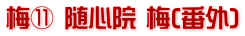 梅⑪ 随心院 梅(番外)