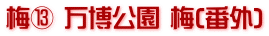 梅⑬ 万博公園 梅(番外)