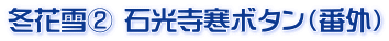 冬花雪② 石光寺寒ボタン（番外）