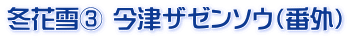 冬花雪③ 今津ザゼンソウ（番外）