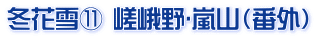 冬花雪⑪ 嵯峨野･嵐山（番外）