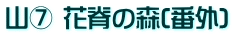 山⑦ 花脊の森(番外)